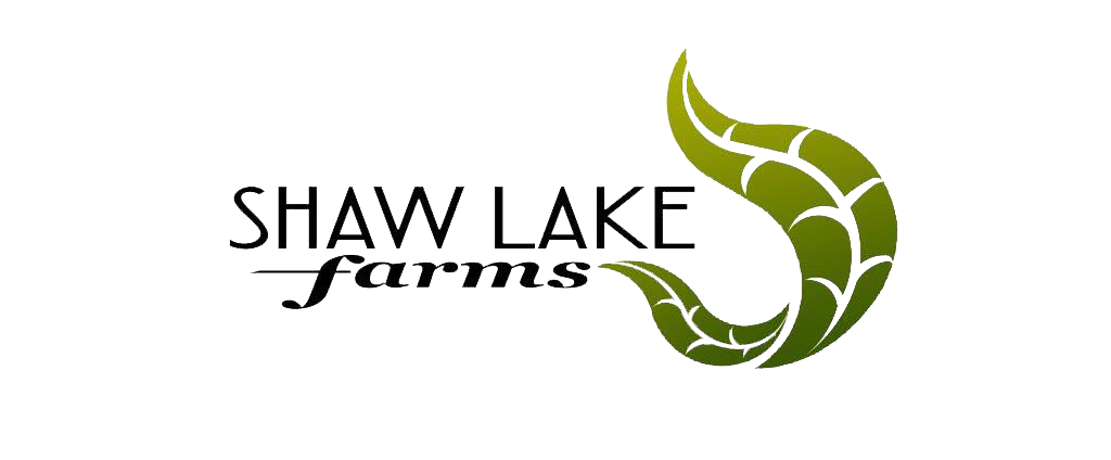 Shaw Lake Farms a greenery and floral farm specializing in weddings in Pierson, Florida